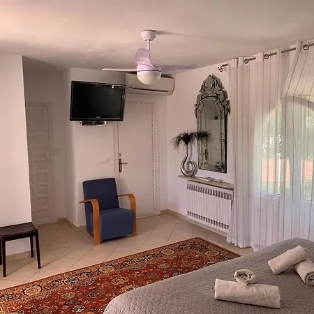 Joya